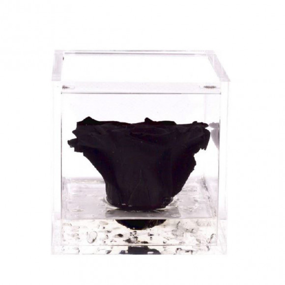 FLOWERCUBE 8X8 NERO 2