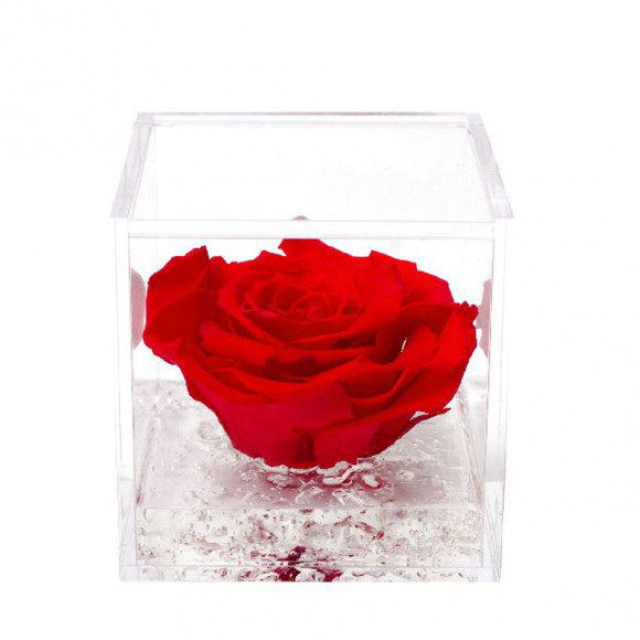 FLOWERCUBE 8X8 ROSSO 2