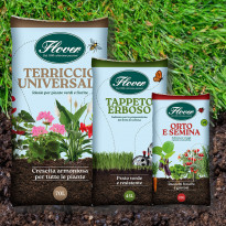 TERRICCI FLOVER