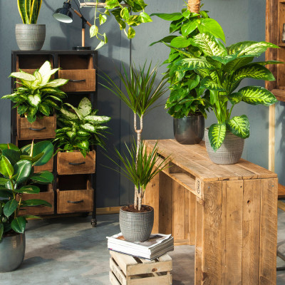 MOBILI DA INTERNO