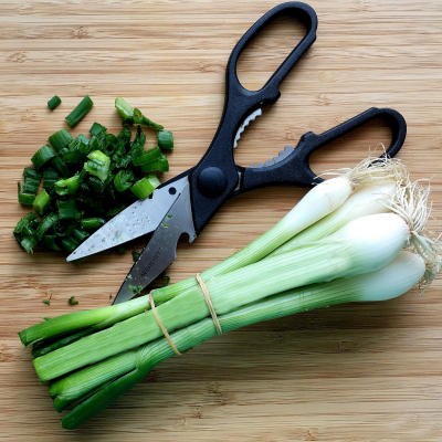 COLTELLI E FORBICI