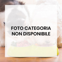 ACCESSORI ACQUARI